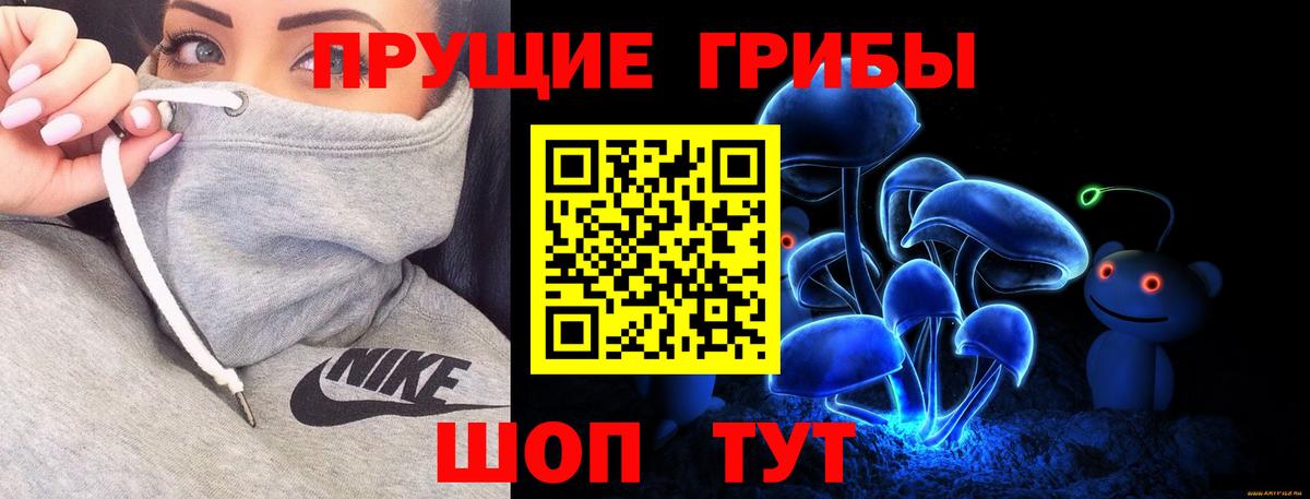 Галлюциногенные грибы Magic Shrooms  Галлюциногенные грибы Cubensis  Вход с VPN  Менделеевск 